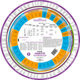 Навигатор по английскому языку. Умная шпаргалка  (9+) 1664
