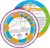 Навигатор по английскому языку. Умная шпаргалка  (9+). Суперакция 1663